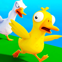 Duck Duck