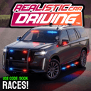 Realistic Car Driving